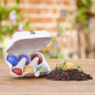 Preview: 6 Blumenmurmeln in einer Pappschachtel